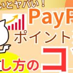 【ポイ活】PayPay運用の増やし方のコツのご紹介!!