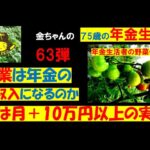 年金生活63弾　野菜作りは年金の副収入になれる！＃年金ｵﾜｺﾝ＃年金＃年金制度＃年金受給＃年金暮らし＃年金世代の知恵＃年金公開＃退職金＃年金一人暮らし＃年金トーク＃定年＃年金支給