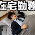全く仕事しないサボり社会人の在宅勤務ルーティン【社畜】