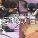 【ルーティン】30代 男性 愛犬と過ごす在宅勤務の1日に密着！
