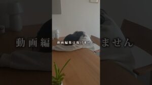 【3日目/100日】動画編集で副業にチャレンジしてます👩💻資料はインスタで配布してます🍊#動画編集 #プレミアプロ #youtubeshorts