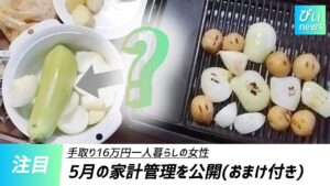 【家計管理】2024年5月/低収入/手取16万円/一人暮らし/生活費/家賃1万5千円/独身/アラサー/OL/家計簿/給料日ルーティン/節約/貯金/副収入/投資/ミニマリスト/セミリタイア