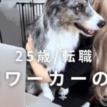 【転職】25歳在宅ワーカーの1日の過ごし方