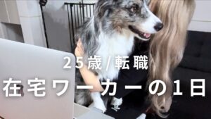 【転職】25歳在宅ワーカーの1日の過ごし方