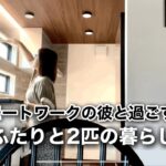 【在宅勤務の日vlog】久しぶりのアフレコ動画です!/中年カップルと猫と犬の日常