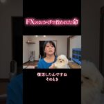 私が在宅ワークを愛する理由!FXトレーダーのシンママが愛犬の命を救った話🐶|投資主婦 スキャルピング デイトレ スイング