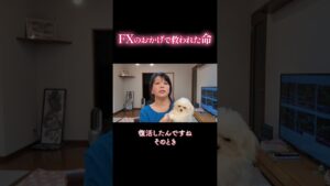 私が在宅ワークを愛する理由!FXトレーダーのシンママが愛犬の命を救った話🐶|投資主婦 スキャルピング デイトレ スイング