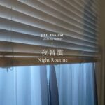 night routine|在宅ワークの定時後|2024.August
