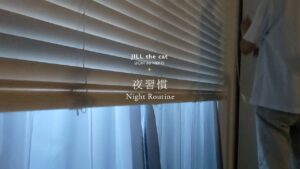 night routine|在宅ワークの定時後|2024.August