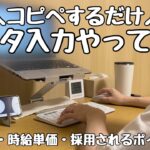 【在宅ワーク】コピペするだけのデータ入力やってみた|報酬金額・時給・採用されるポイントも解説