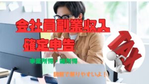 会社員副業収入確定申告  事業所得Or雑所得 図解編