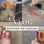 在宅勤務OLの食べてばかりの夏の平日vlog