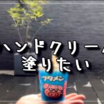 【内職#18】ハンドクリームぬりたい【主婦/ママ/在宅ワーク/資格なし/子育て/作業/副業/バイト/求人/シール貼り/ペン組み立て/袋入れ/雑談】