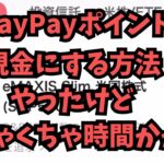 【副業検証】PayPayポイントを現金化してみたら・・・マジめんどくさかった!!