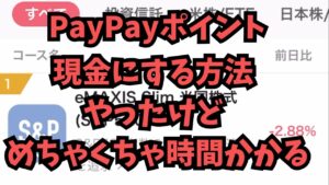 【副業検証】PayPayポイントを現金化してみたら・・・マジめんどくさかった!!