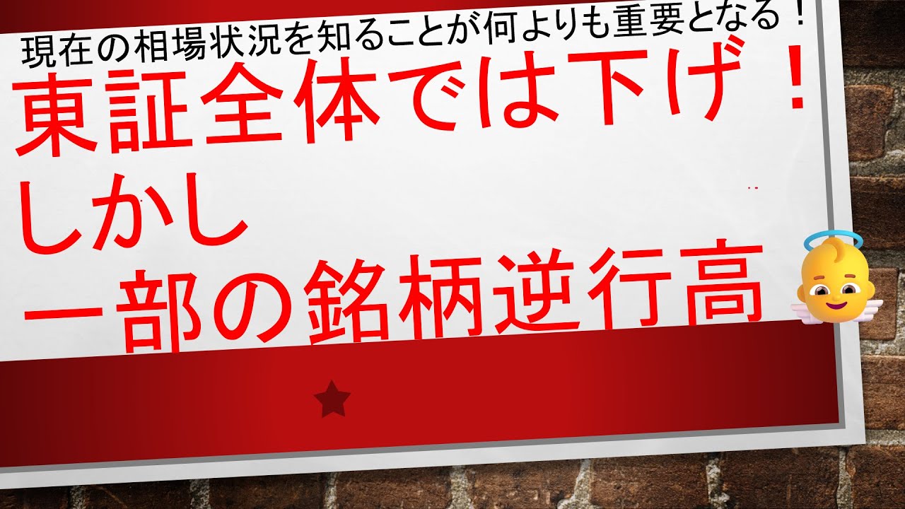 【投資は"事実"を知ることで成長できる✨✨】東証全体では下げ！しかし一部の銘柄は逆行高！！！　　　#毎日投稿　#投資　#お金　#FX　#株式投資　#資産運用