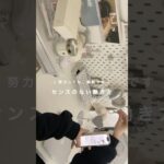 @iyu_freelance←マインドアプデして在宅フリーランスで収入アップしたい方はチェック🐰ྀི💭