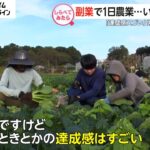 時給1万円超も!副業でいくら稼げる?【しらべてみたら】