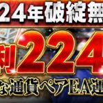 【FX自動売買】2024年破綻無し・EUR/USDペアEAの運用設定公開・堅実に年利224%・MT4
