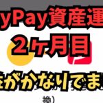 【副業検証】PayPay資産運用2ヶ月の結果!収益がかなりあるから勝ち組になれます!