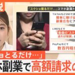 「スクショ送るだけで報酬」スマホ副業でトラブル相次ぐ 被害総額は10億円超か “簡単に稼げる副業”に注意【Nスタ解説】|TBS NEWS DIG