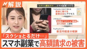 「スクショ送るだけで報酬」スマホ副業でトラブル相次ぐ 被害総額は10億円超か “簡単に稼げる副業”に注意【Nスタ解説】|TBS NEWS DIG
