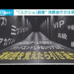 「スクショ」副業 消費者庁が注意を呼び掛け(2025年2月6日)