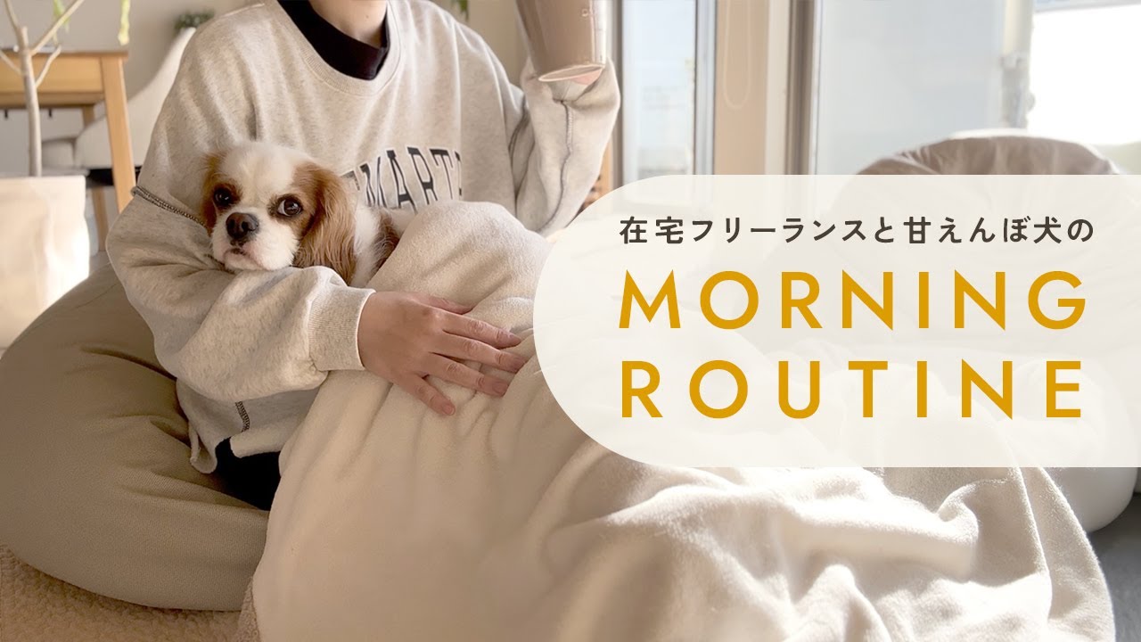 在宅フリーランスと甘えんぼ犬のモーニングルーティン☀️怠惰な生活脱却には犬が効きます