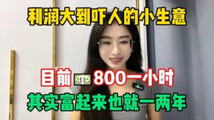 【副業推薦】2025年新風口! 代價是能熬夜吃苦,現時一小時收入800+,全靠一臺電腦養活自己!#賺錢 #网赚 #上班族 #打工 #tiktok #tiktok赚钱 #tiktok干货 #副业