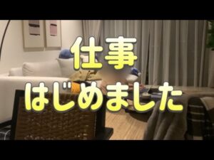 海外生活2年目/ 在宅ワーク始めました