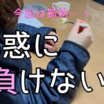 【狭小住宅】旦那と在宅日が重なり先日に続き散財しないよう意識して過ごすズボラ主婦の休日