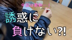 【狭小住宅】旦那と在宅日が重なり先日に続き散財しないよう意識して過ごすズボラ主婦の休日