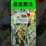 垂直農法 #ビジネス #竹花貴騎 #smartphone #企業戦略 #稼げる #副業 #栽培