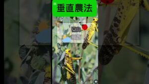 垂直農法 #ビジネス #竹花貴騎 #smartphone #企業戦略 #稼げる #副業 #栽培