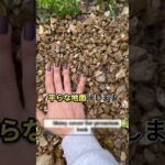 今パクれば儲かるビジネス54         #アイデア #ビジネス #儲かる #お金 #副業 #スプレー