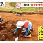 副業でいくら稼いでますか?609人調査【しらべてみたら】