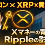 【XRPリップル】イーロン・マスクが密かに仕込んでいた⁉「Xマネー×Ripple×黄金の鍵」の全貌!
