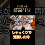 しゃっくり #要介護4 #在宅介護