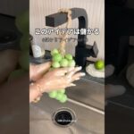 "吊るせるぶどう"で月手取り30万稼ぐ副業