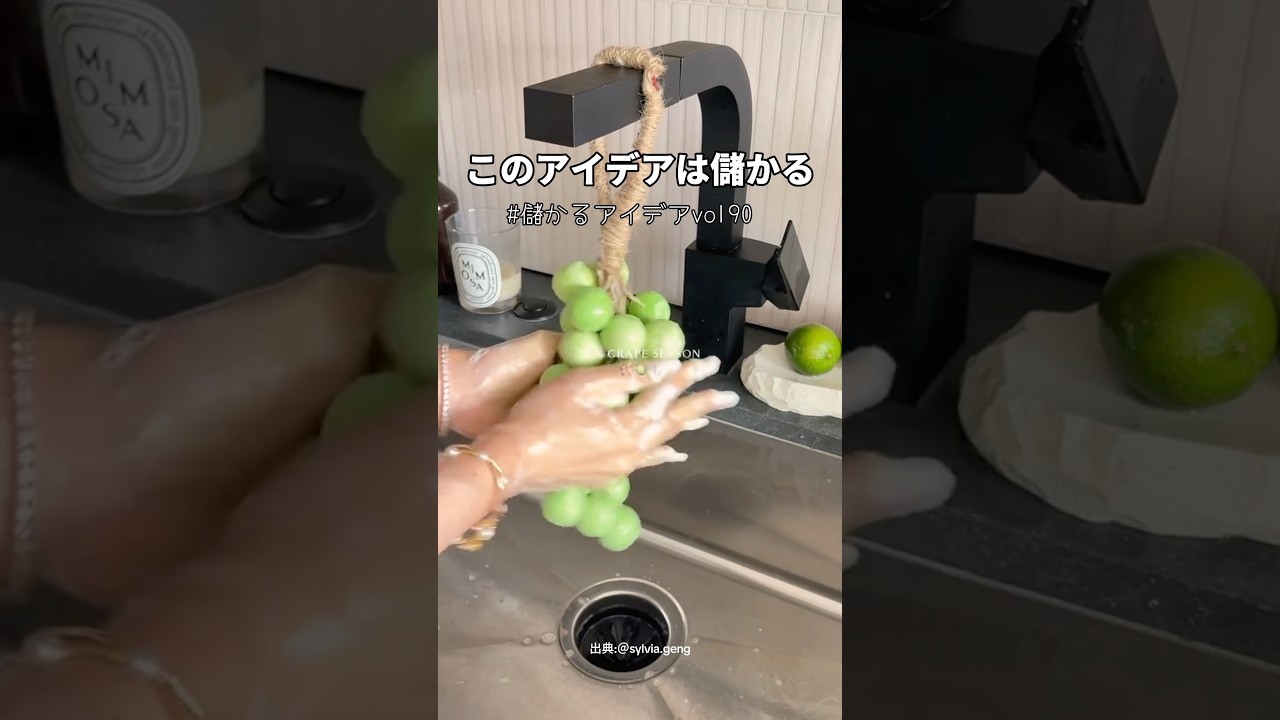 "吊るせるぶどう"で月手取り30万稼ぐ副業