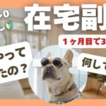 初心者が1ヶ月目から月30万稼げた副業