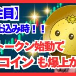 【まだ間に合う!】ゆるコインが熱い!トークン販売との連動で価格100倍も!?
