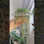 なんちゃって植物で月手取り56万稼ぐハンドメイド副業