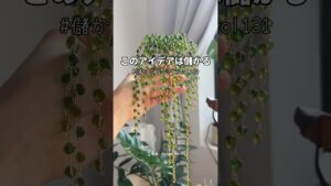 なんちゃって植物で月手取り56万稼ぐハンドメイド副業