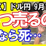 【FX】ドル円スイングは今日も戻り目と2波終点待ち!デイトレは今日は本当に無茶厳禁!エリオットも待ちで!2025年9月12日 日本時間12時00頃撮影 #中年トレーダーしげちゃん