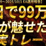 【3日で+99万円!静かなる黄金戦略!ゴールドEAが導く軌跡!】