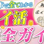 【2025年版】初心者でも分かる!ポイ活完全ガイド